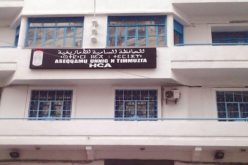 عصاد: تقرير بخصوص ترجمة البعد الوطني للغة الأمازيغية سيقدم لرئيس الجمهورية