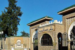 المدية.. توقيف ثلاث شبان تعرضوا لدورية شرطة بالشتم والرشق بالحجارة