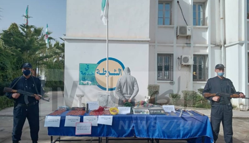 الطارف: توقيف شخص وحجز قرابة 4 كلغ من المرجان الملكي الأحمر بالشط