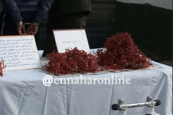 حجز أزيد من 3 كلغ من المرجان بتلمسان