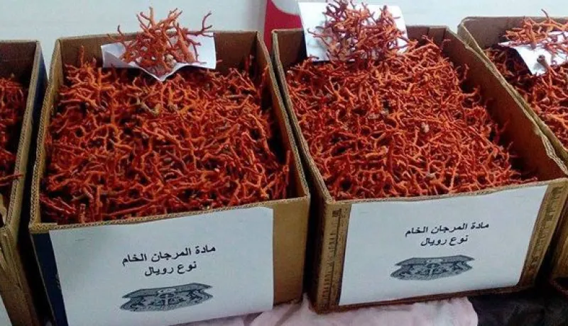 الإطاحة بشبكة إجرامية تُتاجر في المرجان حجز قرابة 5 كلغ بالطارف