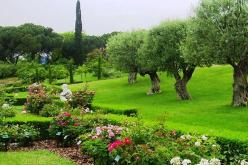 وزارة الداخلية تأمر بإنشاء المساحات الخضراء وفقا للمعايير الدولية