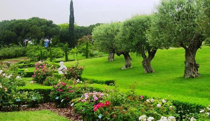 وزارة الداخلية تأمر بإنشاء المساحات الخضراء وفقا للمعايير الدولية