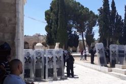 بالفيديو.. الاحتلال الصهيوني يقتحم المسجد الأقصى ويعتدي على المصلين