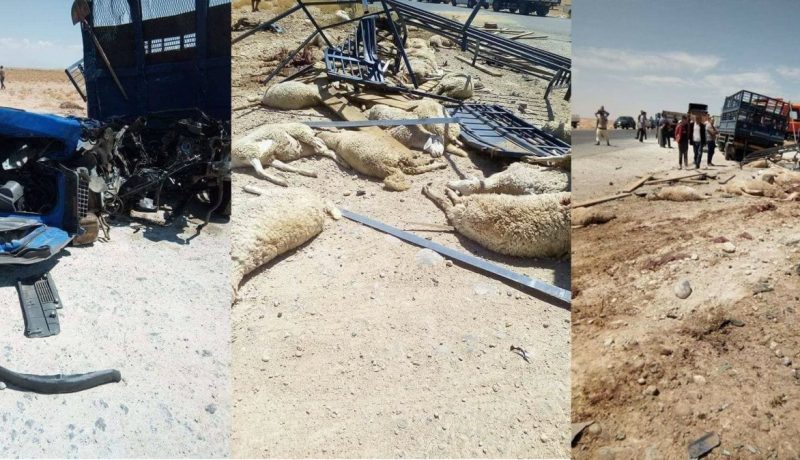 قتيل وجريحان ونفوق 40 رأس غنم في حادث مرور بالمسيلة