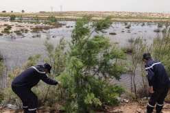 المسيلة: العثور على جثة شخص بمجرى مائي يصب بواد مطر