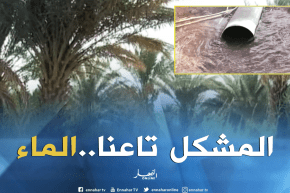 عين صالح: منتوج التمور ينخفض وفلاحو منطقة جقور يطالبون بتدخل السلطات