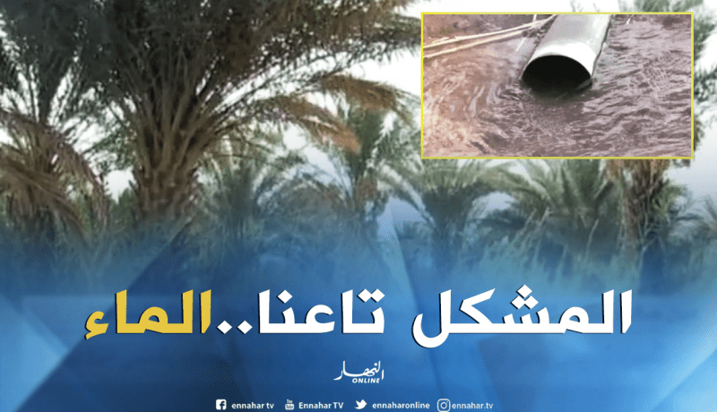 عين صالح: منتوج التمور ينخفض وفلاحو منطقة جقور يطالبون بتدخل السلطات