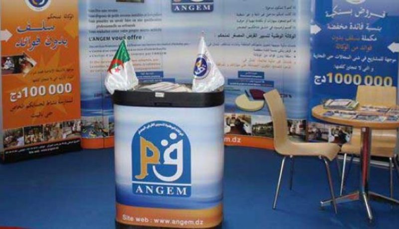 جبنون: وكالة تسيير القرض المصغر قدمت 62 مليار دينار قروض لتمويل 933 ألف مشروع