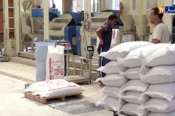 الديوان المهني للحبوب: تموين المطاحن المنتجة للسميد بالمادة الأولية متواصل أيام العطلة