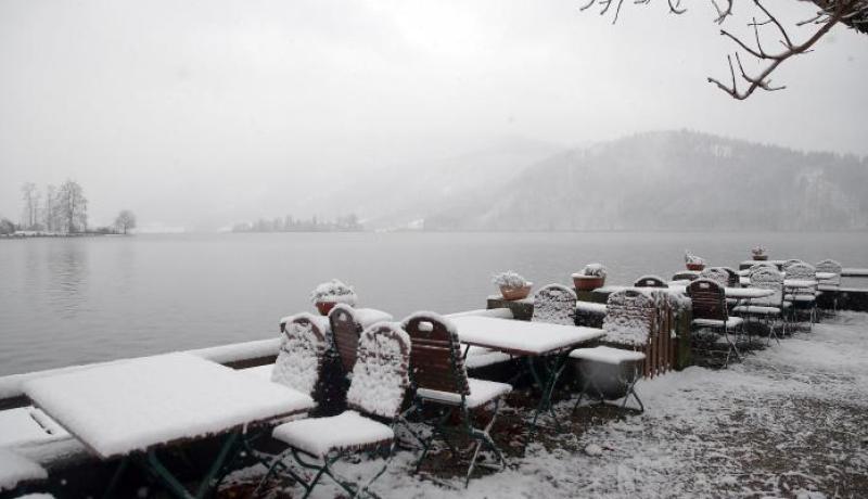 المكسيك: 8 ضحايا وانقطاع للكهرباء بسبب عاصفة ثلجية