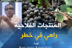 الأمراض تهدد المنتجات الفلاحية والثروة الحيوانية..بين غياب المرافقة والتأمين