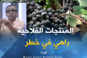 الأمراض تهدد المنتجات الفلاحية والثروة الحيوانية..بين غياب المرافقة والتأمين