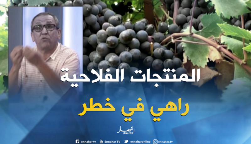 الأمراض تهدد المنتجات الفلاحية والثروة الحيوانية..بين غياب المرافقة والتأمين