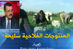 مدير التنمية بوزارة الفلاحة :”نطمئن كل المستهلكين على سلامة المنتوجات الفلاحية”