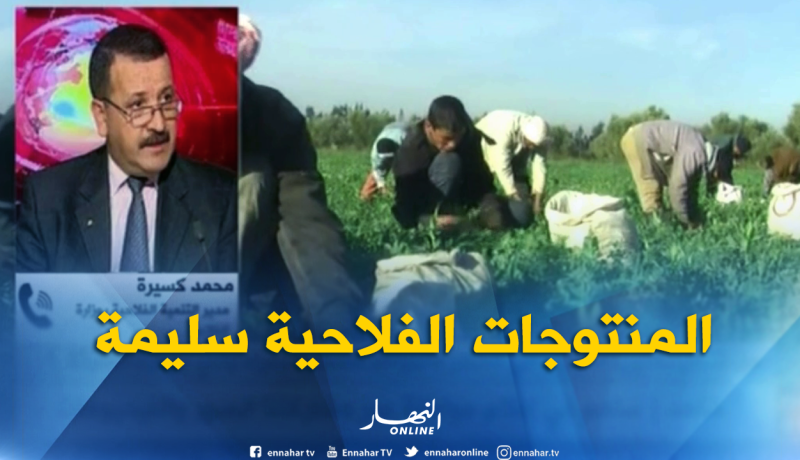 مدير التنمية بوزارة الفلاحة :”نطمئن كل المستهلكين على سلامة المنتوجات الفلاحية”