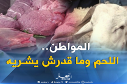 تجارة: 13 الف دج متوسط ما يصرفه المواطنون عند الجزار هروبا من أسعار الأضاحي