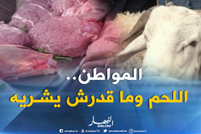 تجارة: 13 الف دج متوسط ما يصرفه المواطنون عند الجزار هروبا من أسعار الأضاحي