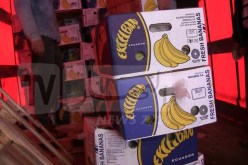 شروط جديدة لاستيراد الموز.. وتحديد عمر الرخصة بـ3 أشهر