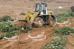 قنوات الصرف الصحي تتسبب في إتلاف أكثر من 10 هكتارات من المحاصيل في تيارت