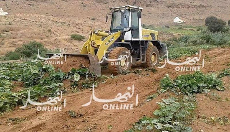 قنوات الصرف الصحي تتسبب في إتلاف أكثر من 10 هكتارات من المحاصيل في تيارت