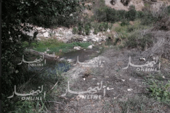إحباط 35 عملية سقي بالمياه القذرة وإتلاف المحاصيل الزراعية بسطيف