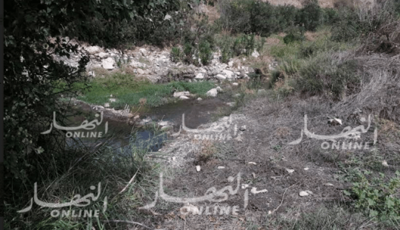 إحباط 35 عملية سقي بالمياه القذرة وإتلاف المحاصيل الزراعية بسطيف