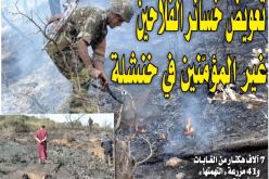 الرئيس تبون يأمر بتعويض خسائر الفلاحين غير المؤمّنين 