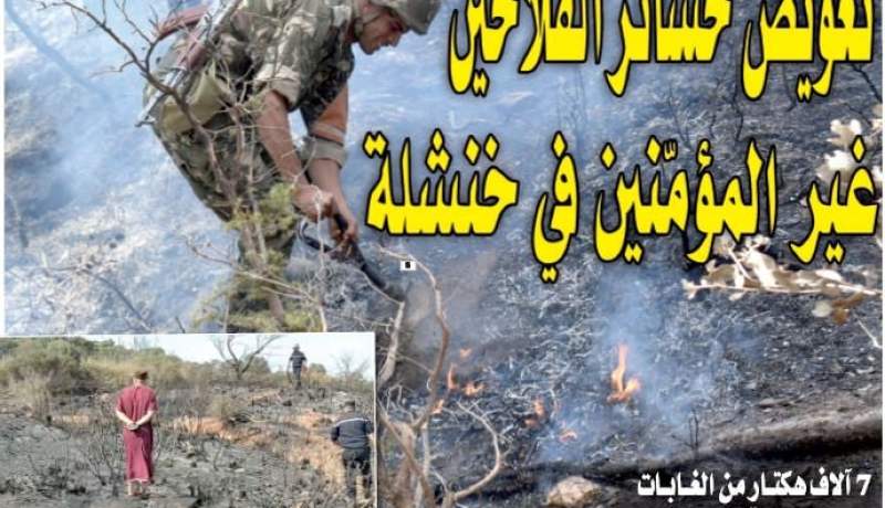 الرئيس تبون يأمر بتعويض خسائر الفلاحين غير المؤمّنين
