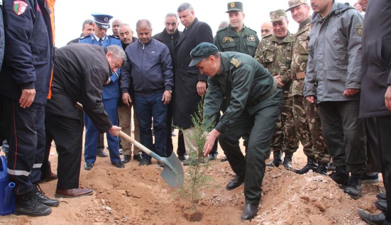 بالصور.. والي النعامة يشارك في عملية التشجير بالبيوض
