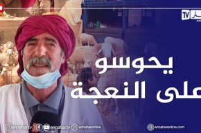 غرداية.. إقبال ضعيف على شراء الأضاحي والنعجة الاكثر طلبا