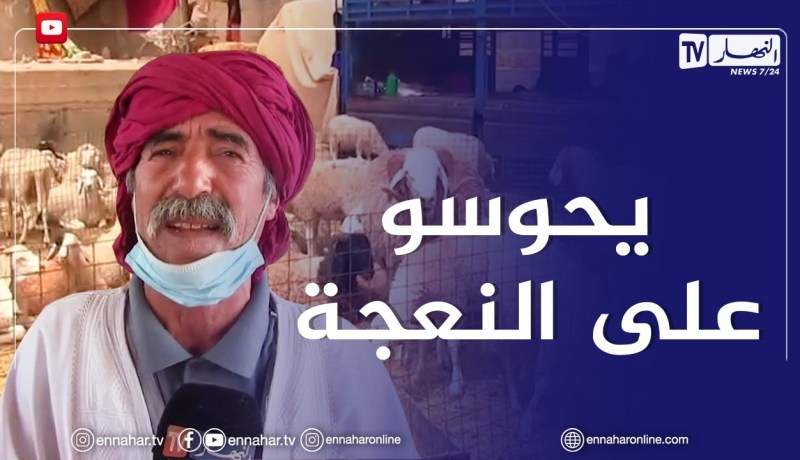 غرداية.. إقبال ضعيف على شراء الأضاحي والنعجة الاكثر طلبا