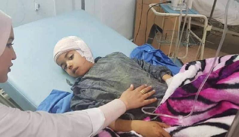 كلب مسعور يهاجم 5 أطفال ويدخلهم المستشفى في الهامل بالمسيلة