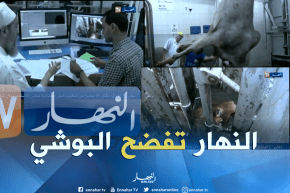 حصري..”النهار” أول قناة تفضح “البوشي” في قضية “اللحوم الجيفة” سنة 2014