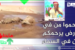 طالع هابط: النوي يثور ضد من كان سبب في مـ وت الجمال في الصحراء بسبب الماء الملوث بالبترول