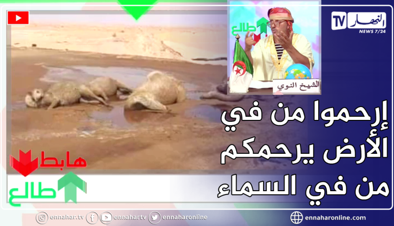 طالع هابط: النوي يثور ضد من كان سبب في مـ وت الجمال في الصحراء بسبب الماء الملوث بالبترول