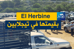 مع اقتراب موسم الدلاع والبطيخ..الـ”Herbine ” ما طاحتش في تيجلابين