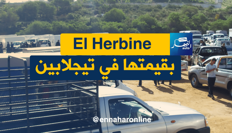 مع اقتراب موسم الدلاع والبطيخ..الـ”Herbine ” ما طاحتش في تيجلابين
