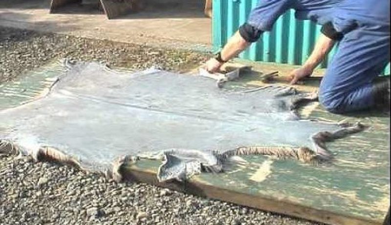 هذه المساجد التي خصصت لجمع “الهيدورة” يوم عيد الأضحى بالعاصمة