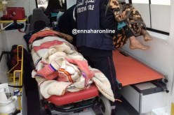 تسجيل أول حالة البوحمرون بدوار الماء في تونس 