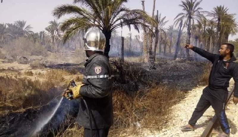 الوادي..الحماية تخمد حريق يأتي على 65 نخلة بالمغير