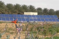 سوناطراك: حفر 10 آبار مجهزة بمضخات تعمل بالطاقة الشمسية في الوادي