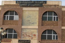 والي إليزي يعين مديرا جديد للوكالة الولائية للتشغيل