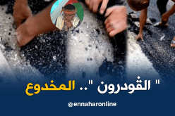 الشيخ النوي..شاهد طريق الزربية  بالطارف