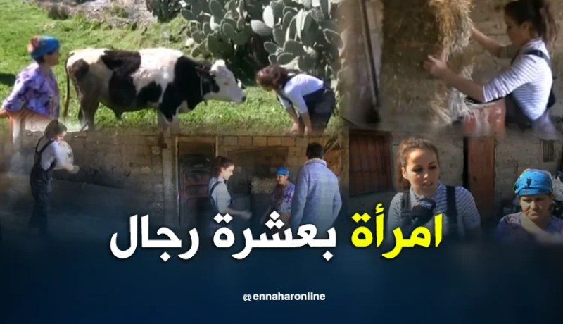 تيزي وزو: زهرة..شابة تخلت عن دراستها لإنتشال عائلتها من الفقر