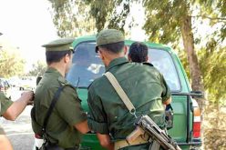 الدرك يحجز 60 ألف كيس «شمّة» مغشوشة في سيدي بلعباس