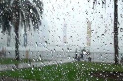 أمطار رعدية على هذه الولايات!