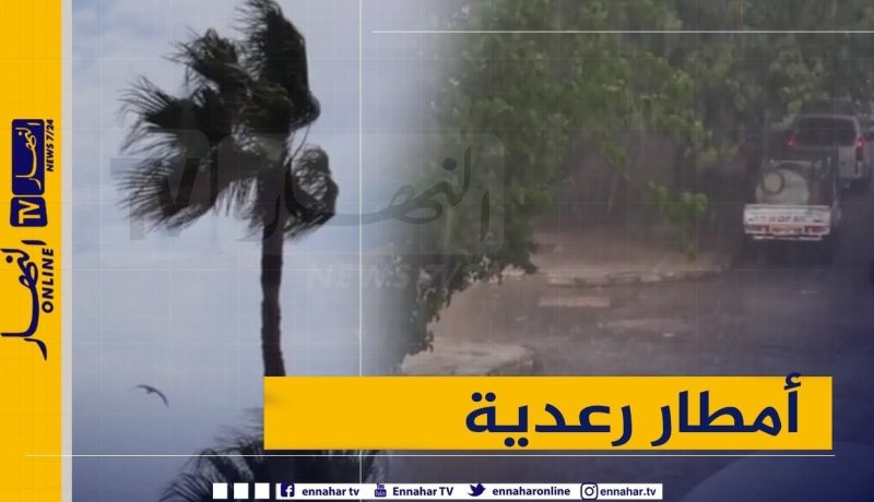 نشرية خاصة.. أمطار رعدية على الولايات الوسطى والشرقية بداية من اليوم