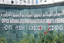 أوندا: “استفادة 2902 فنان من المنحة الاستثنائية بسبب توقف النشاط الثقافي”