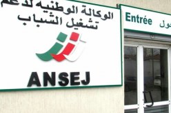 أونساج.. نحو إعادة جدولة الديون على مدى 5 سنوات وإلغاء العقوبات